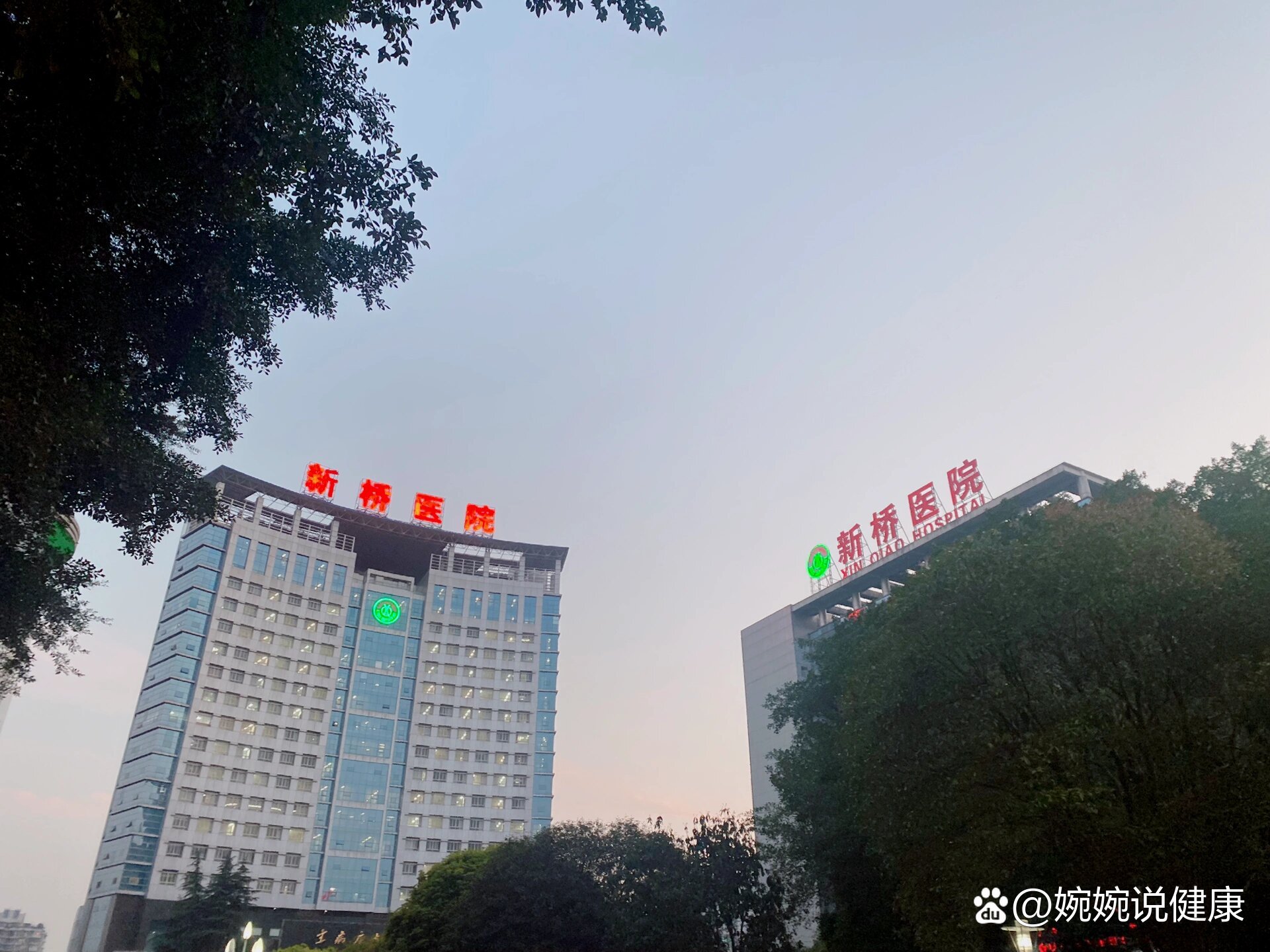 包含第三军医大学第二附属医院（新桥医院）黄牛排队挂号，的词条