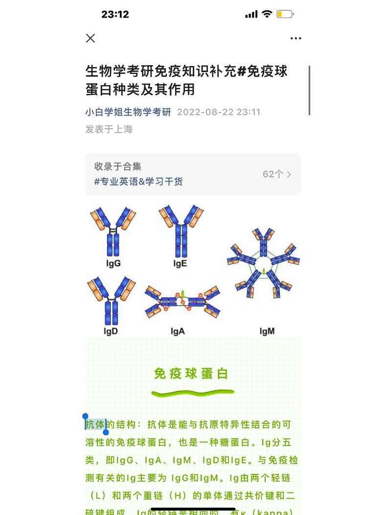 免疫球蛋白单体图片