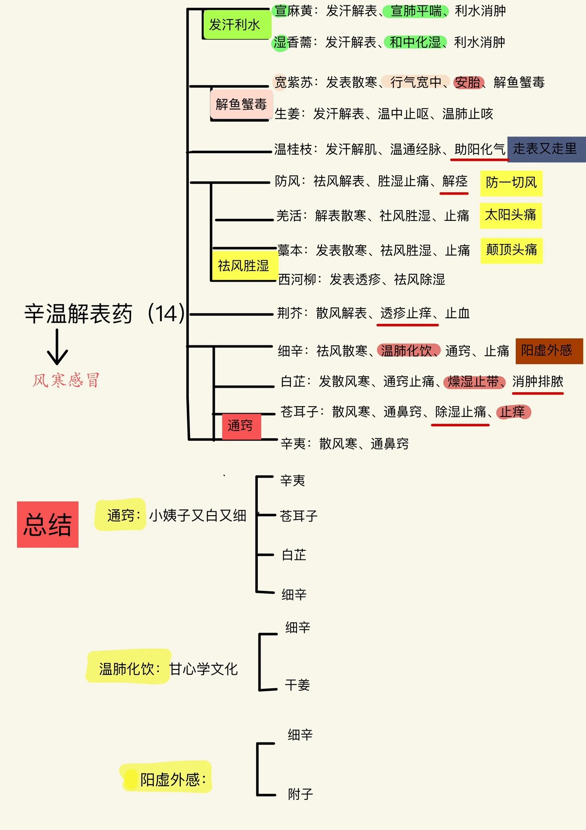 辛温解表药(14味药)思维导图