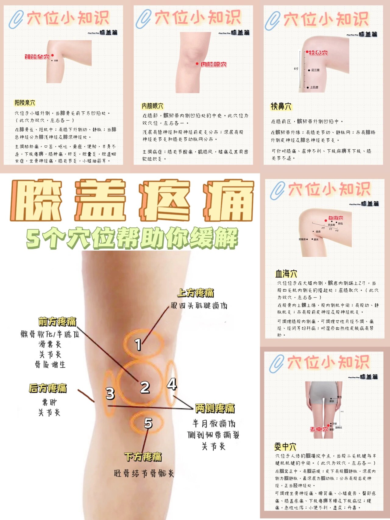 膝盖疼痛对照图图片