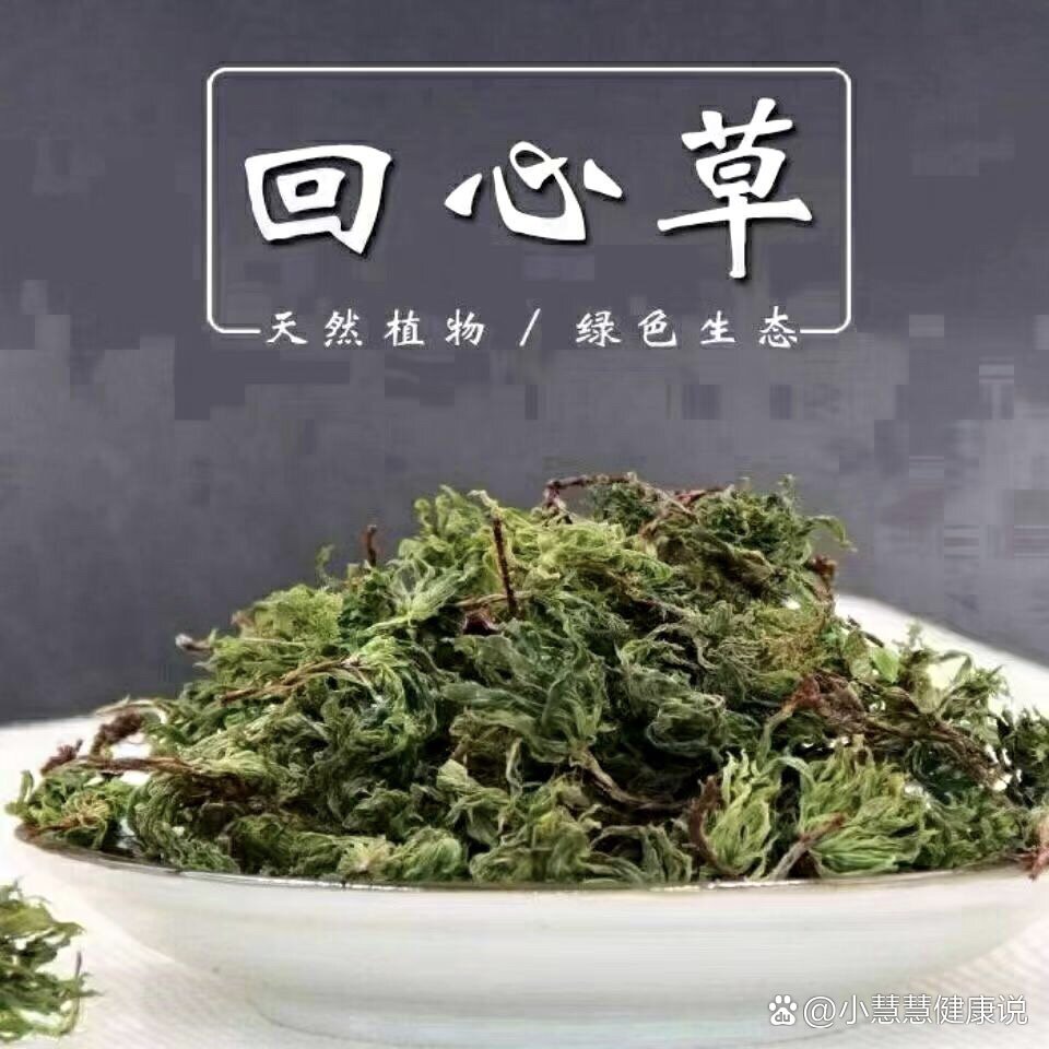 【云南野生回心草】也叫铁脚一把伞,是心脏病克星,回心草味苦,辛,性平