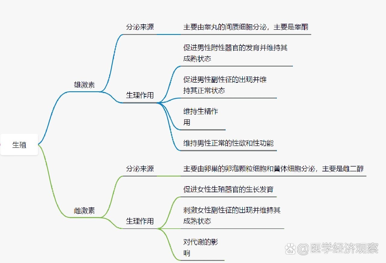生理学第十二章生殖思维导图