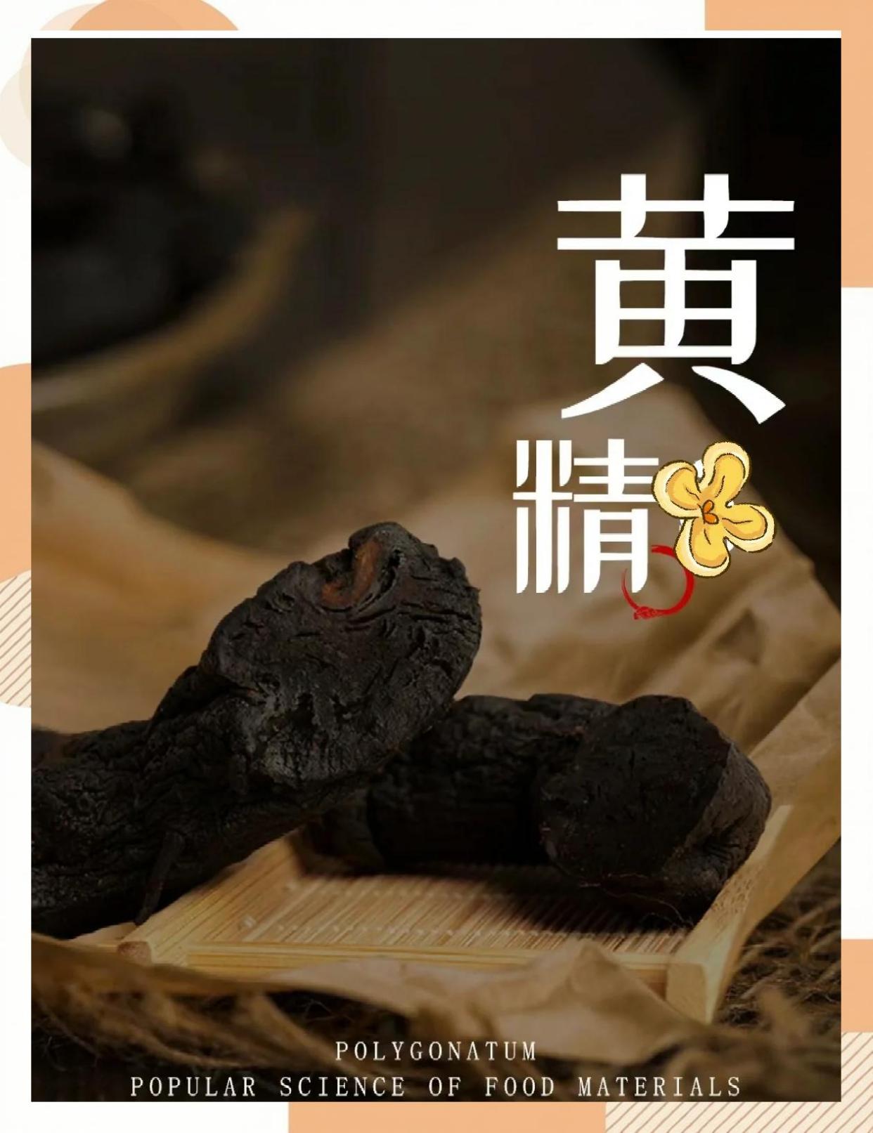 九制黄精：肾气不足者的福音