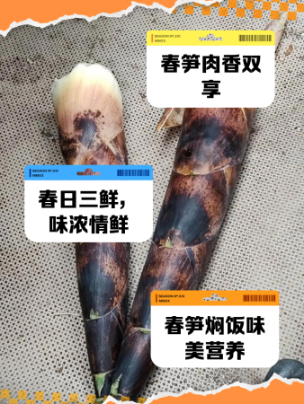 笋的三个最佳搭配
