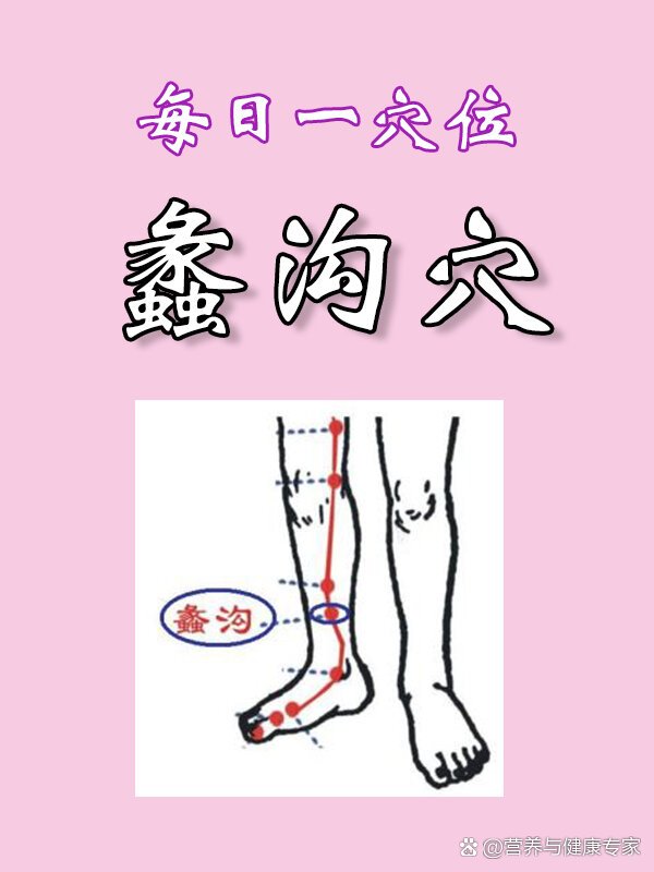 肝经蠡沟的准确位置图图片