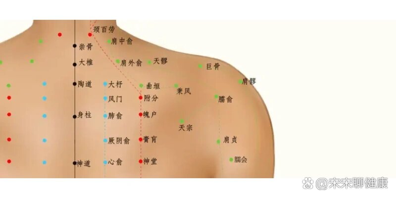 肩膀学位图解大全图片图片