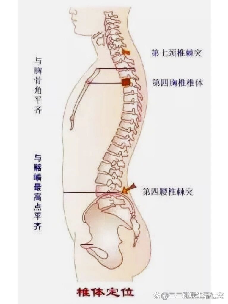 会突骨的位置图片图片