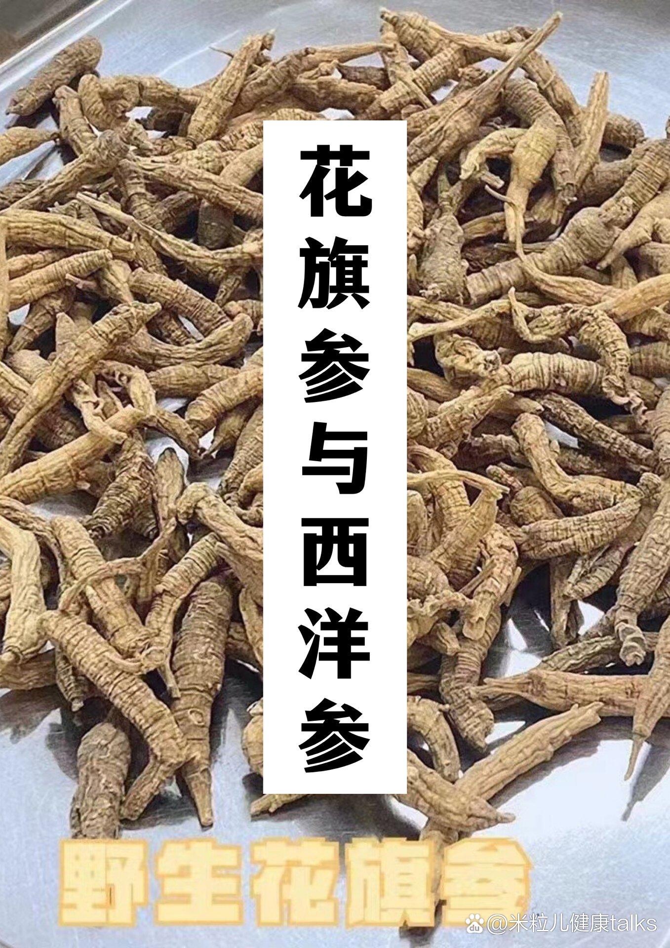 花旗参,西洋参的区别与鉴别