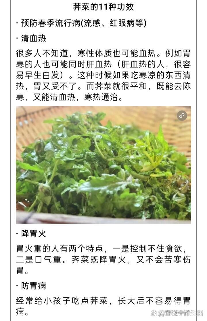 菱角菜的功效与作用图片