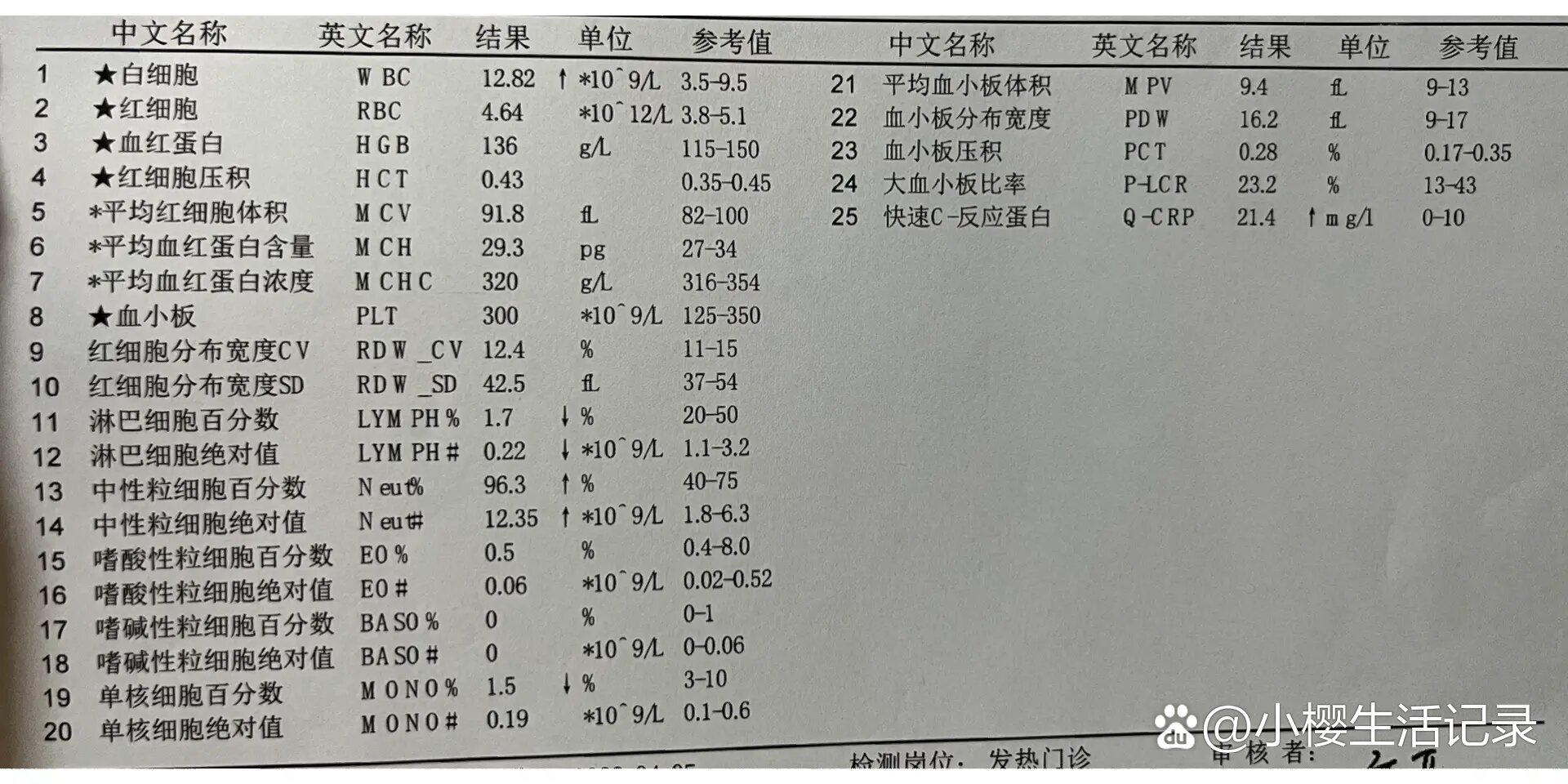 淋巴细胞升高图片