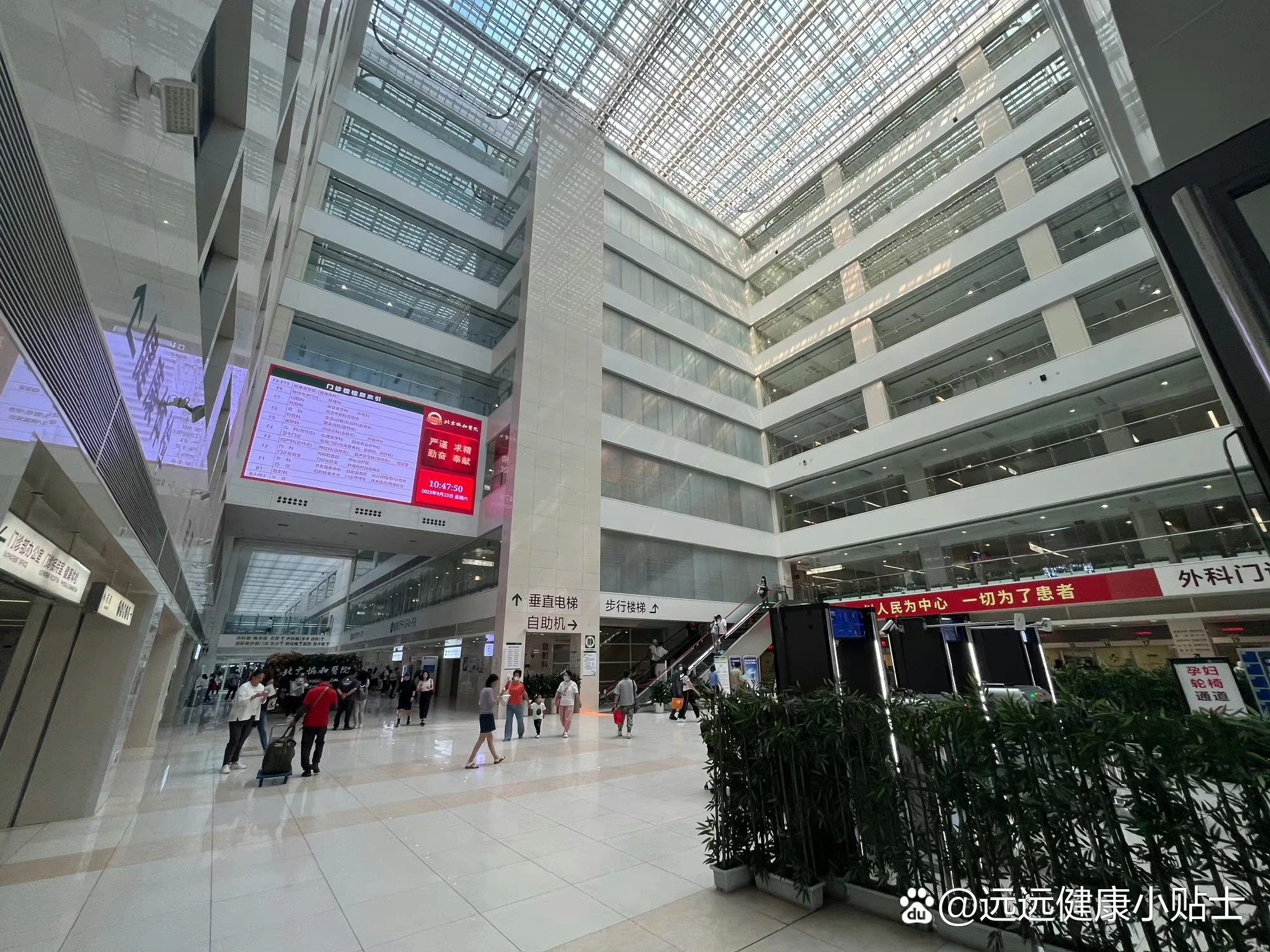 包含原306医院代取报告代挂号来京看病路线全程规划，不绕路不折腾的词条