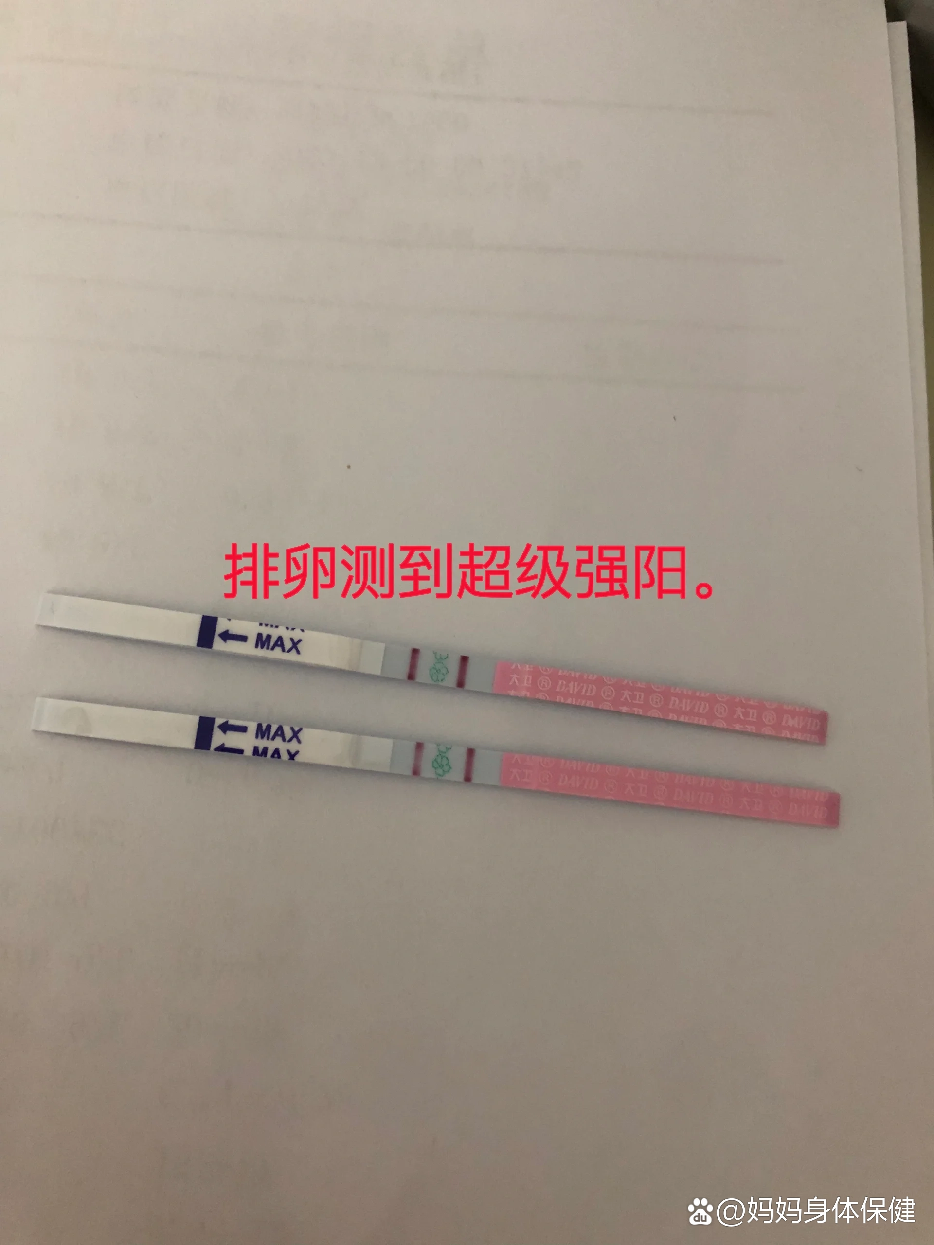 强阳后多久排卵图片