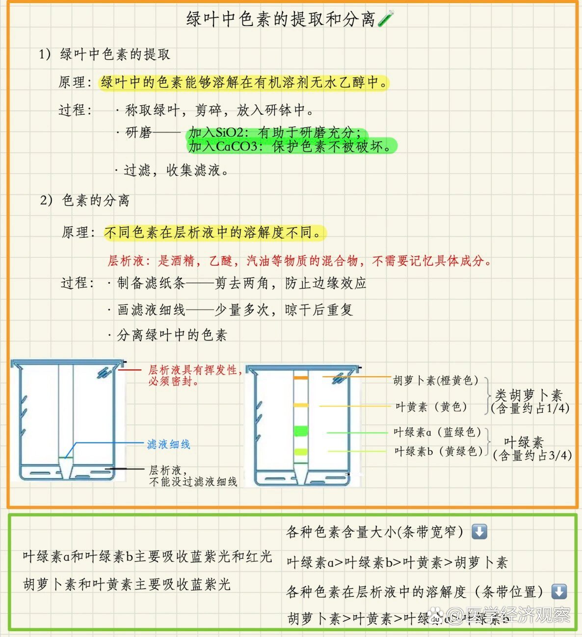 光合色素滤纸条图片