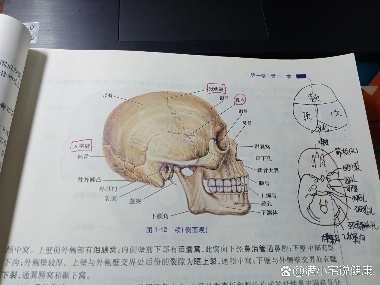 颅底内面观