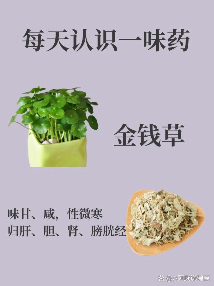 p 每天认识一味药