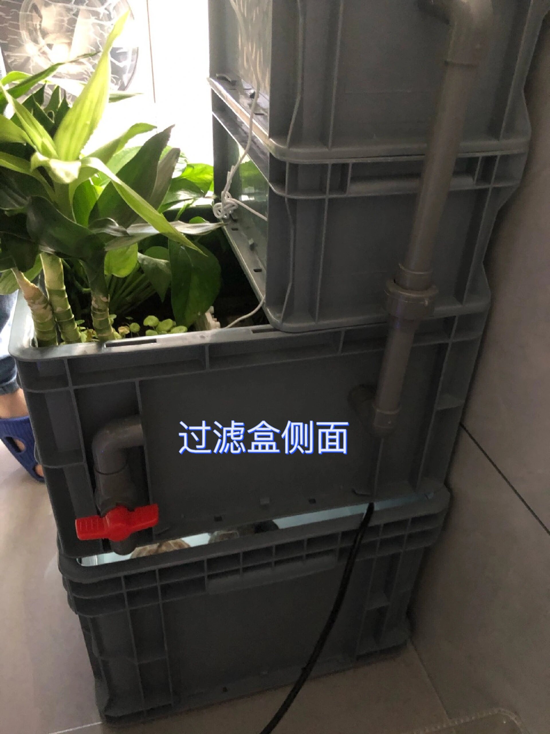 自制周转箱龟缸教程来咯