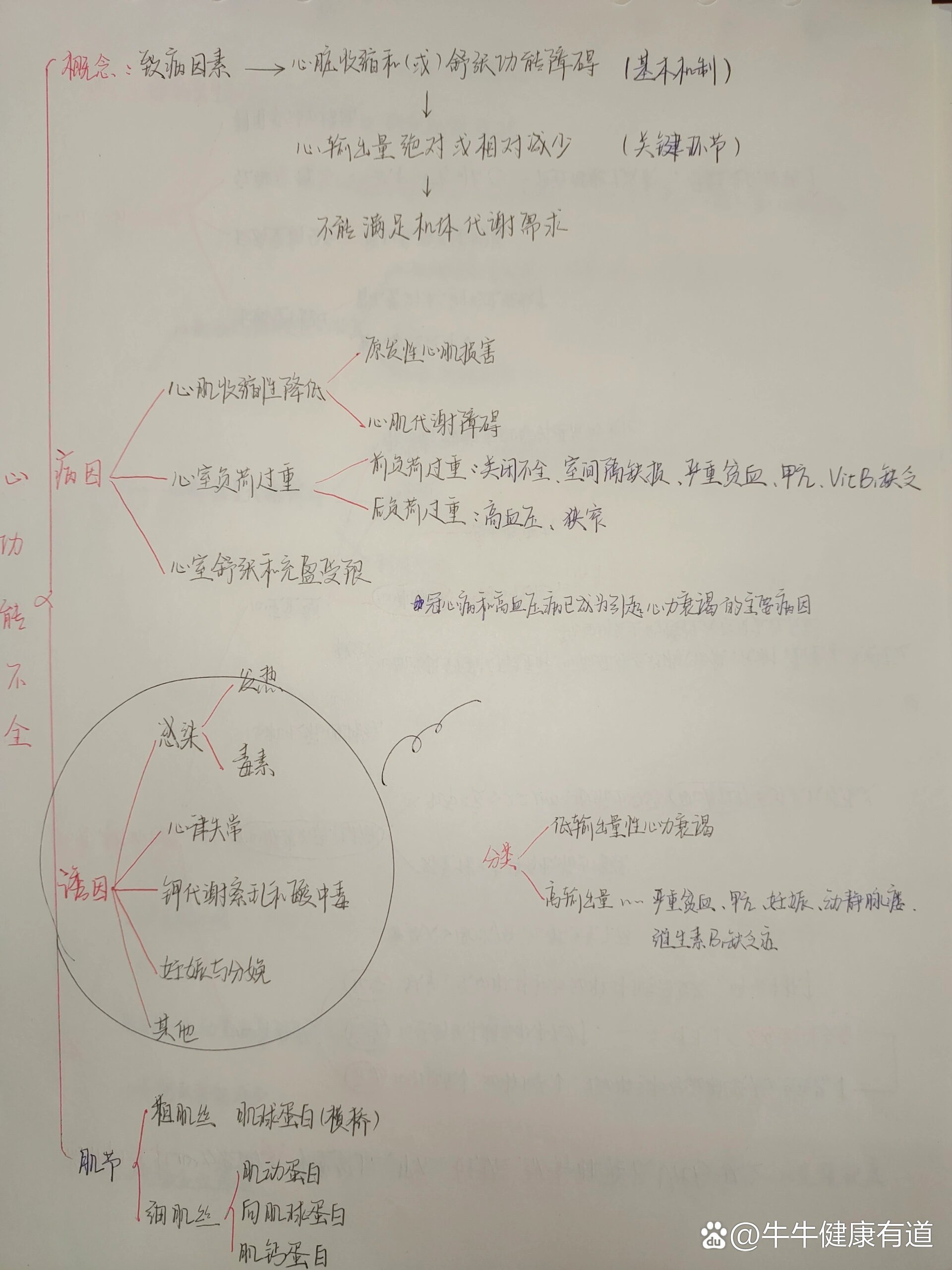 心包疾病思维导图图片