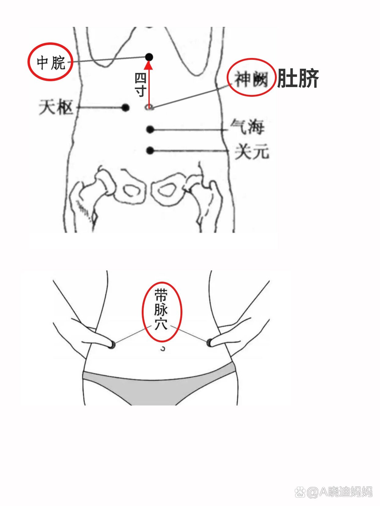 艾灸瘦腹部