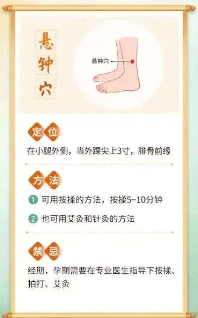 悬钟穴：小腿外侧的“万能开关”💪