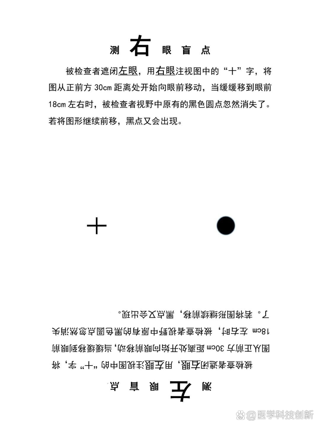 给大家分享一个《生理盲点检测图》吧,嘻嘻