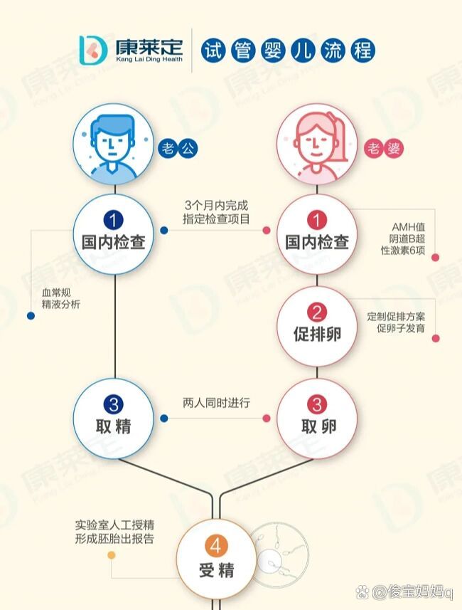 三代试管过程图片