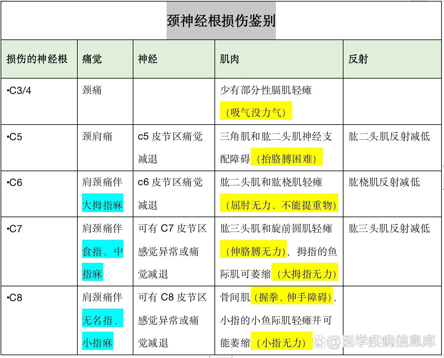 看一眼就知道是颈椎哪根神经压迫