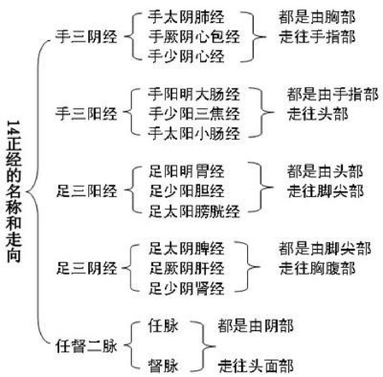 十二经络起点至止点图图片