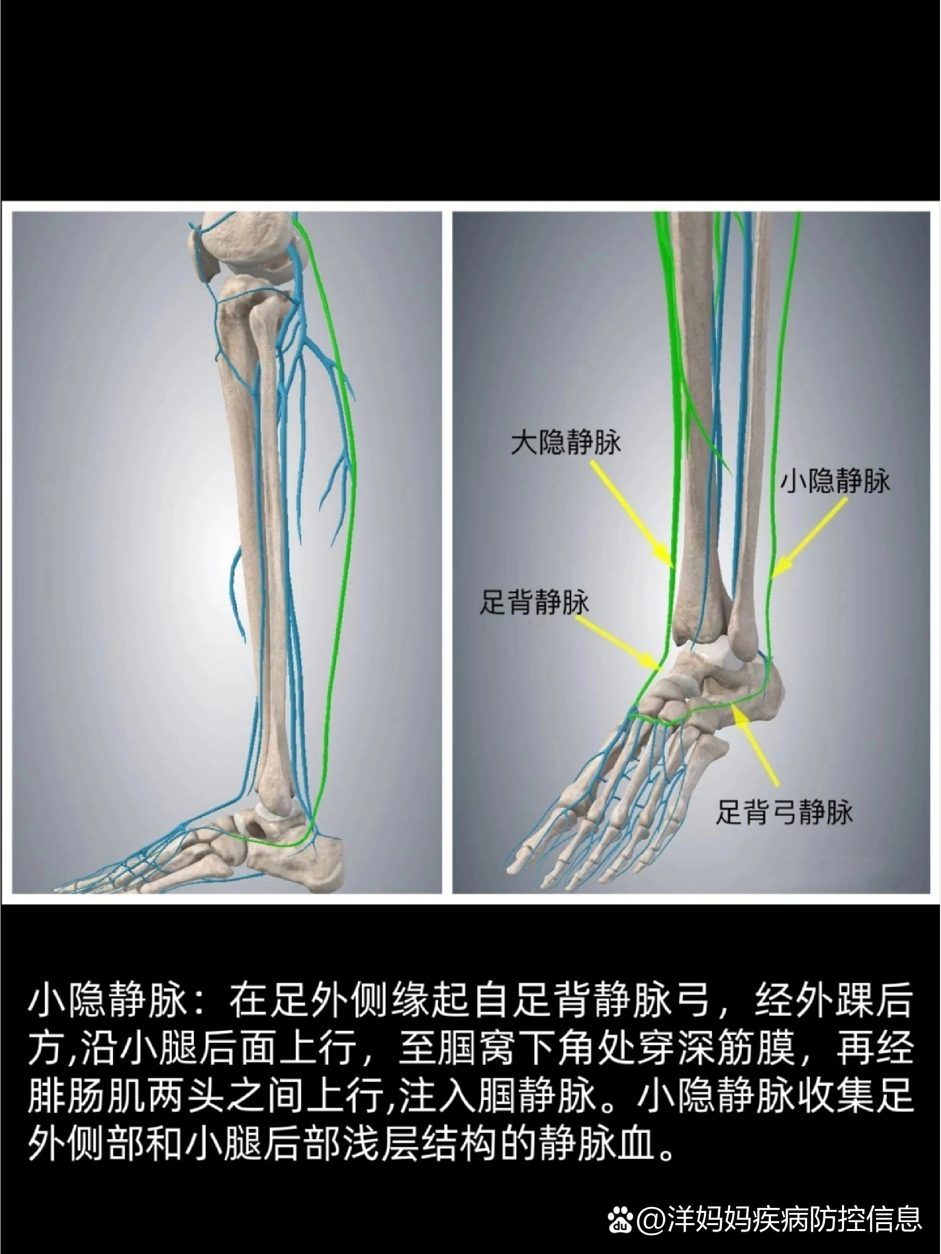 六张图