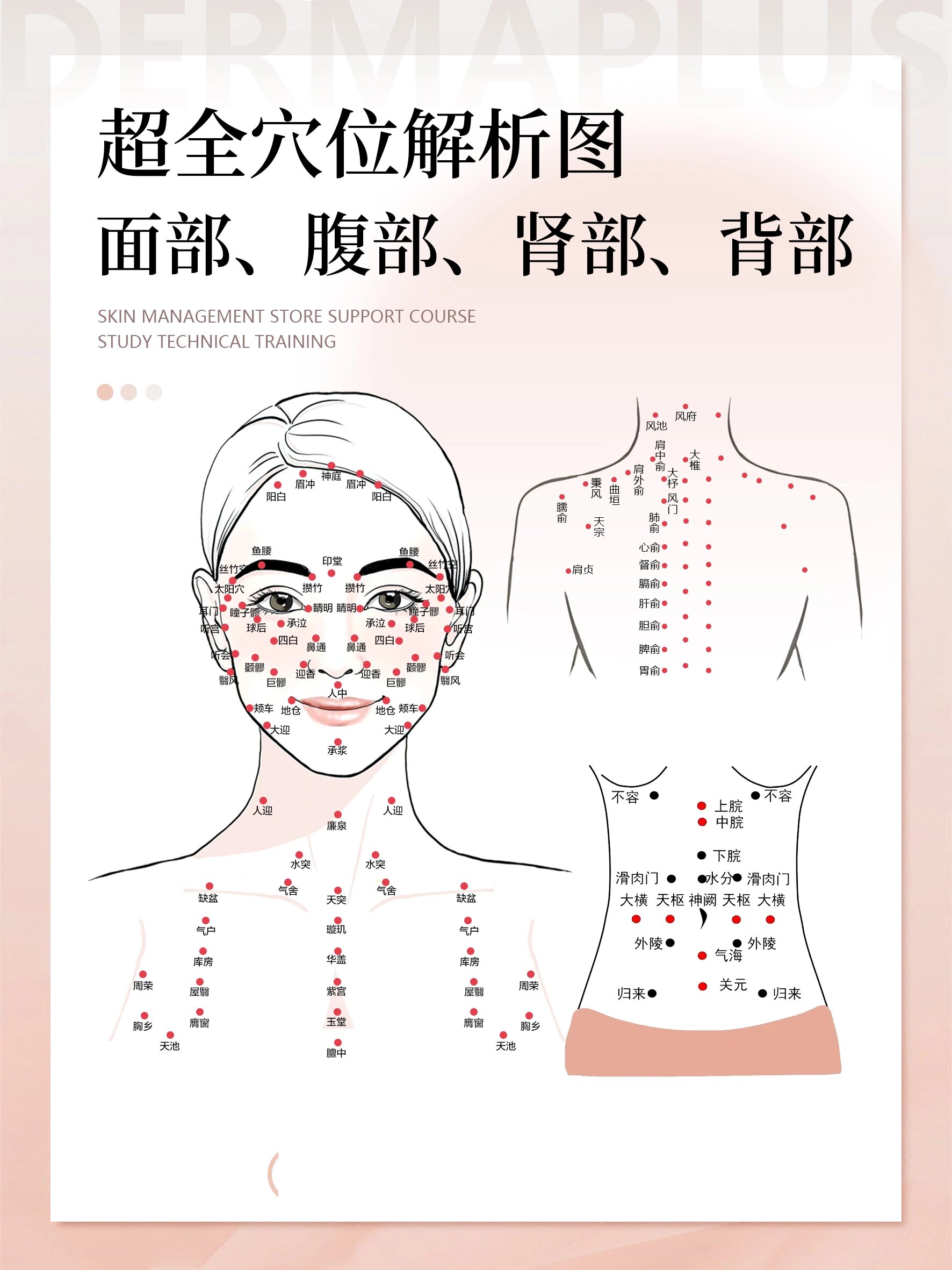 醉全面部身体美容穴位解析图