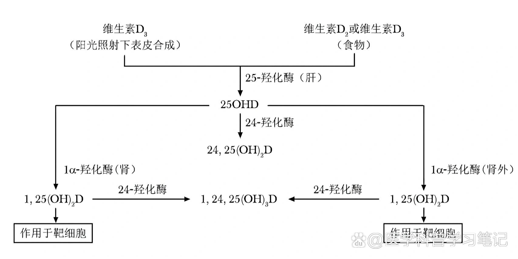 钙及其化合物的转化图图片