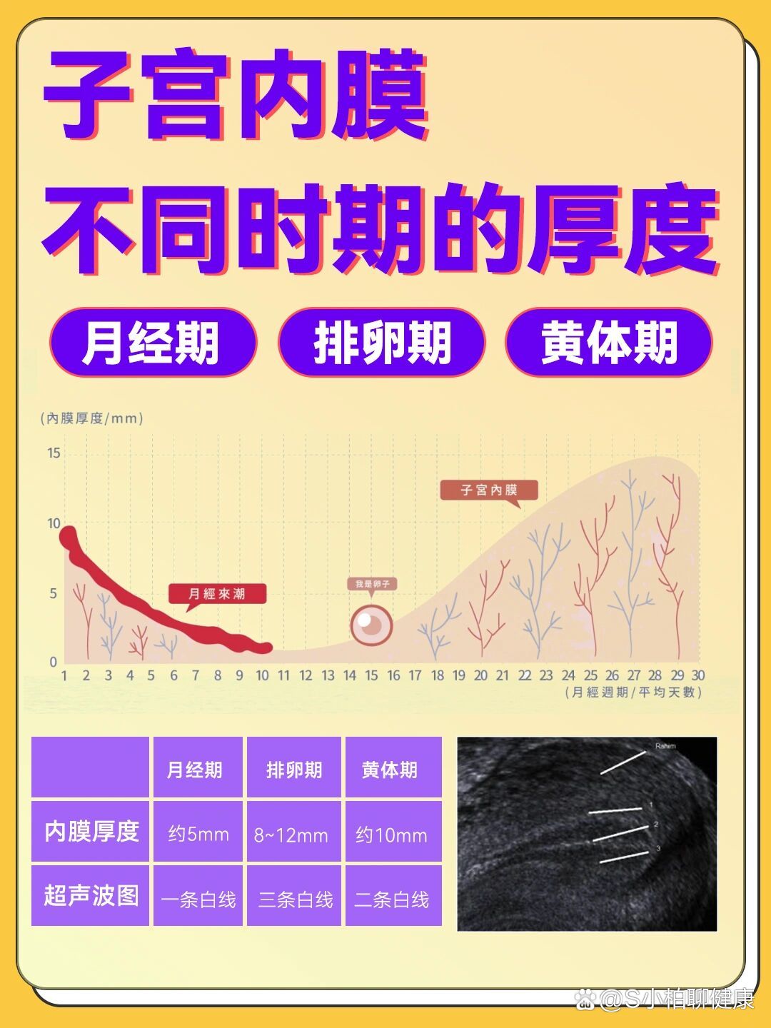 97医师告诉你月经排卵黄体期子宫内膜厚度