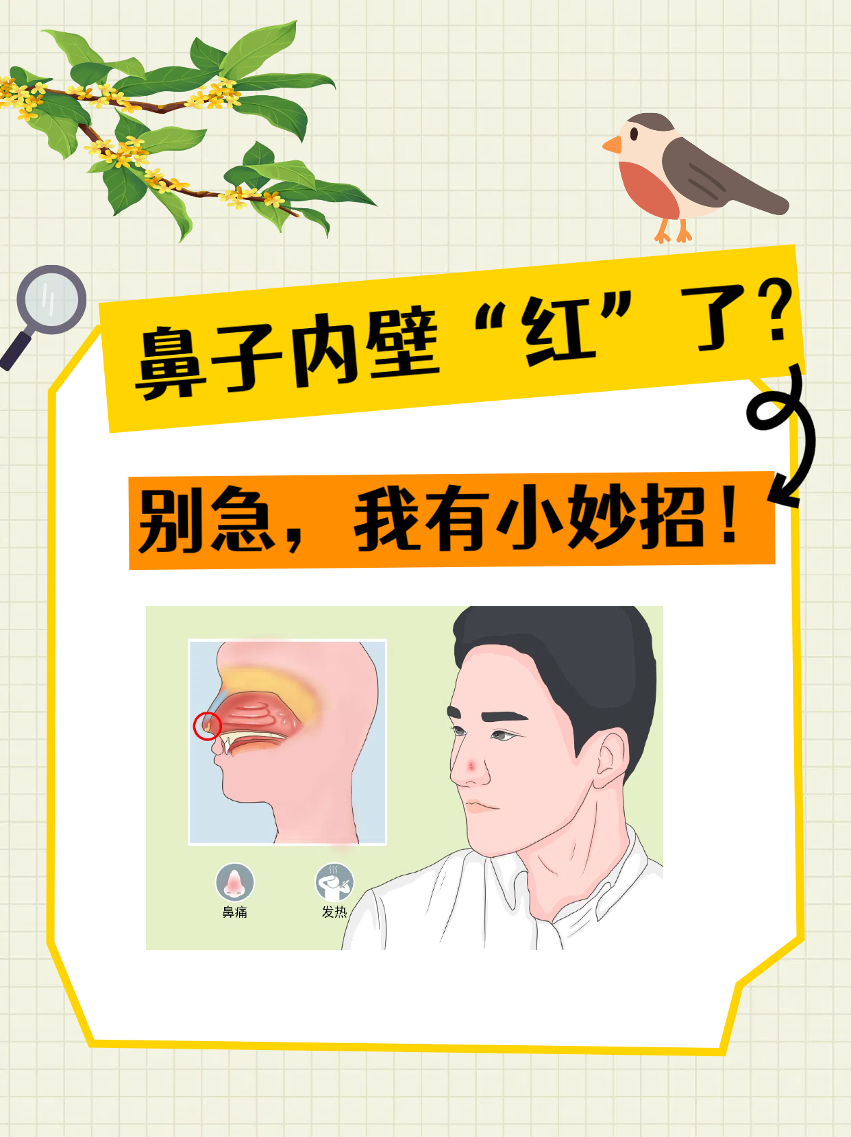  p>鼻子内壁发炎红肿了?别急,达人这就来给你支支招!