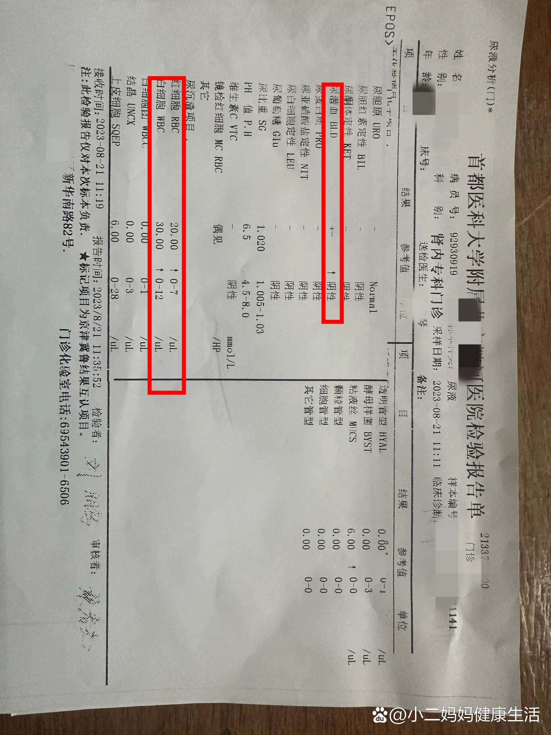 尿沉渣镜检报告图片