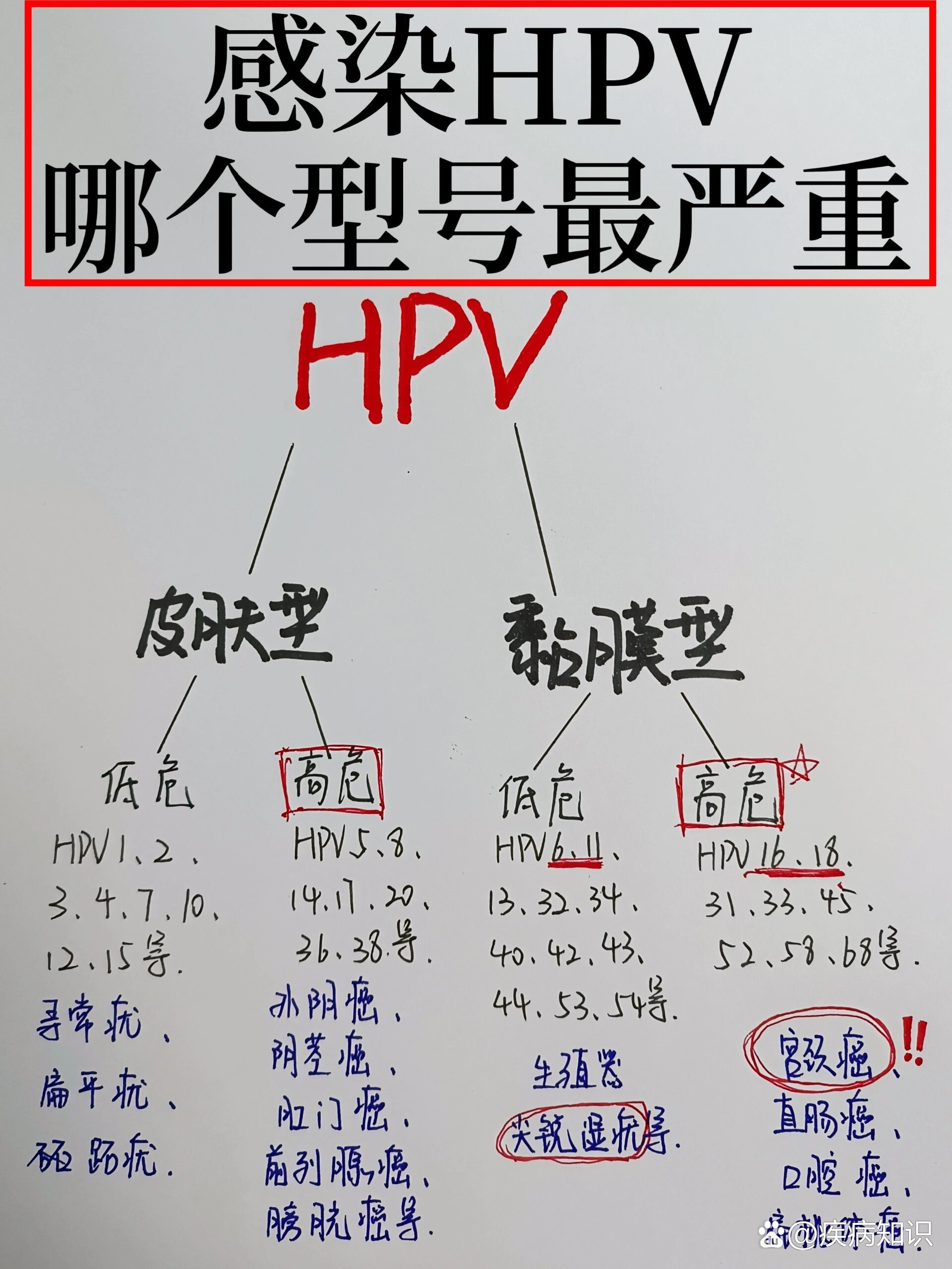 hpv感染,哪个型号最严重?