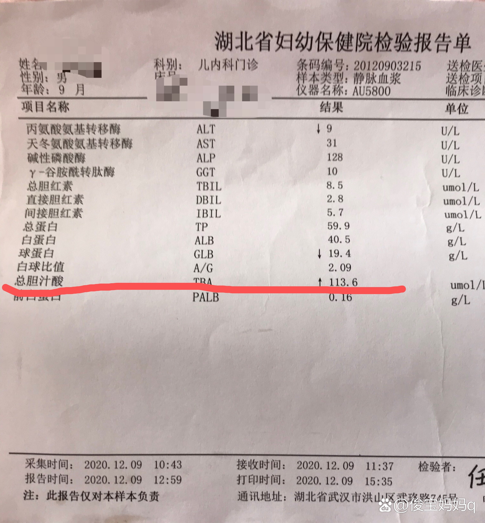 总胆汁酸高图片