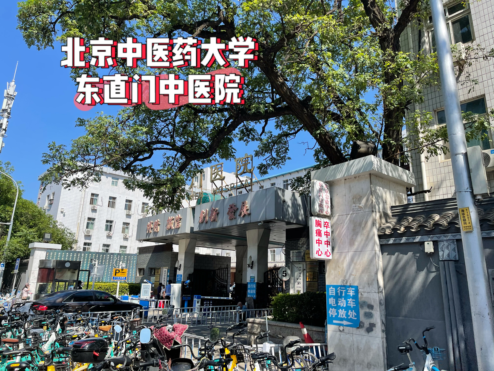 北京中醫醫院、協助就診，就診引導專業跑腿掛號，住院檢查加急找我的簡單介紹