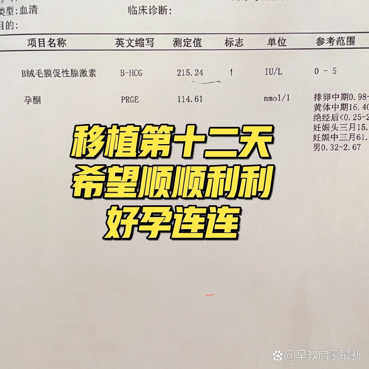 姐妹们快来接好孕试管移植14天hcg参考图