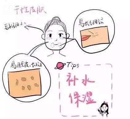 如何判断自己是干皮还是油皮？