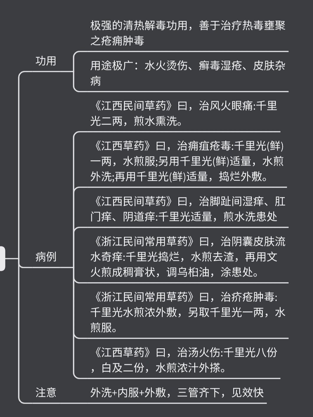 千里光|清热解毒 疮痈肿毒!