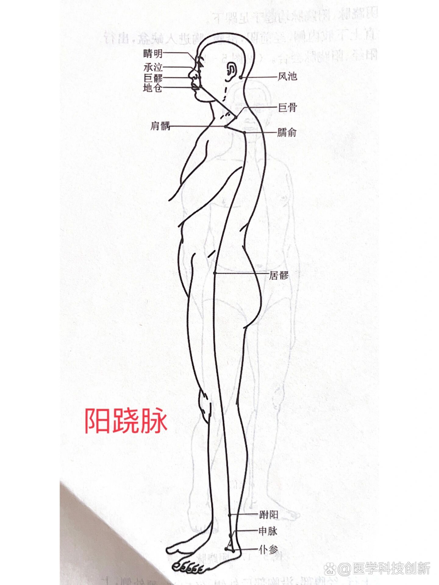 奇经八脉之——阴跷脉,阳跷脉