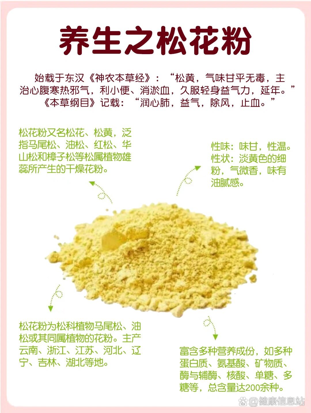 人参松花粉的作用图片