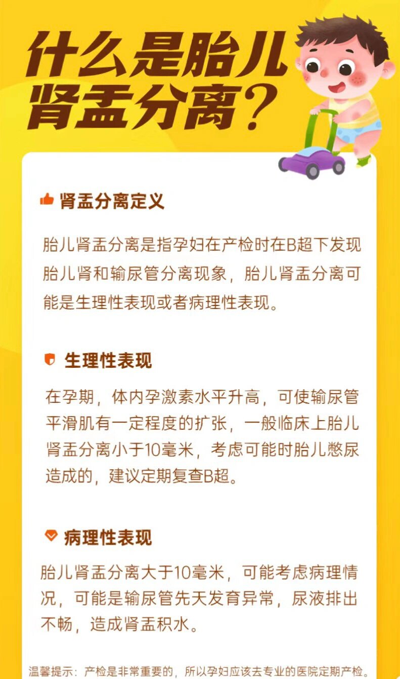 肾窦分离是什么意思图片