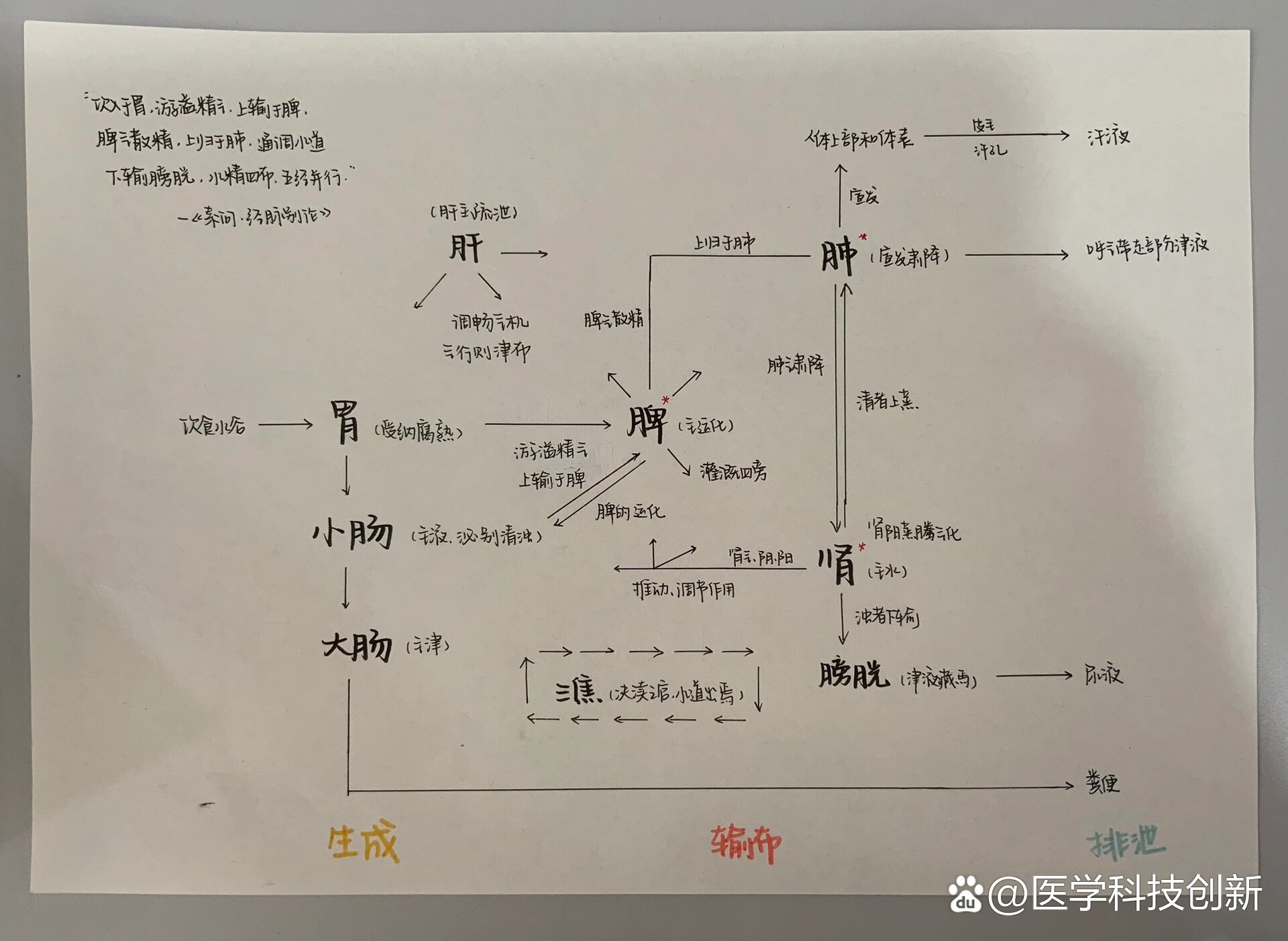 水液代谢示意图图片