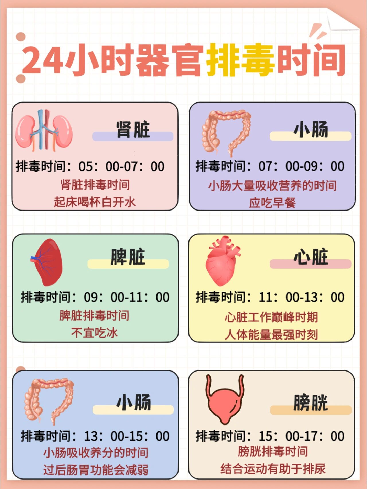 器官排毒时间表图片图片