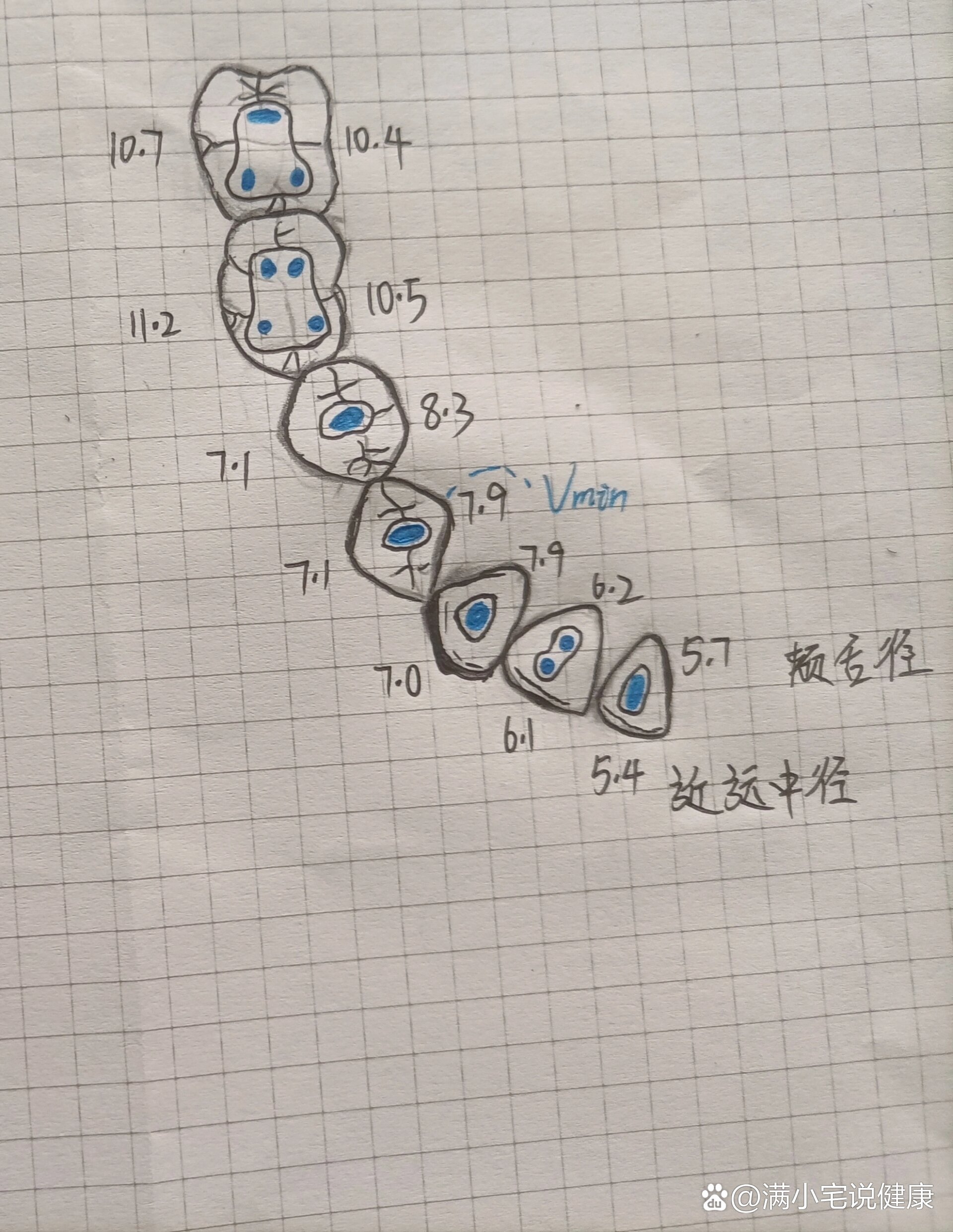  p>各个牙的开髓点 br>①上前牙:舌面窝中央近舌隆突处呈底朝向切缘
