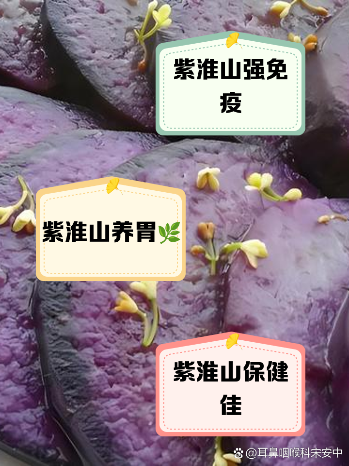 紫淮山的功效与作用