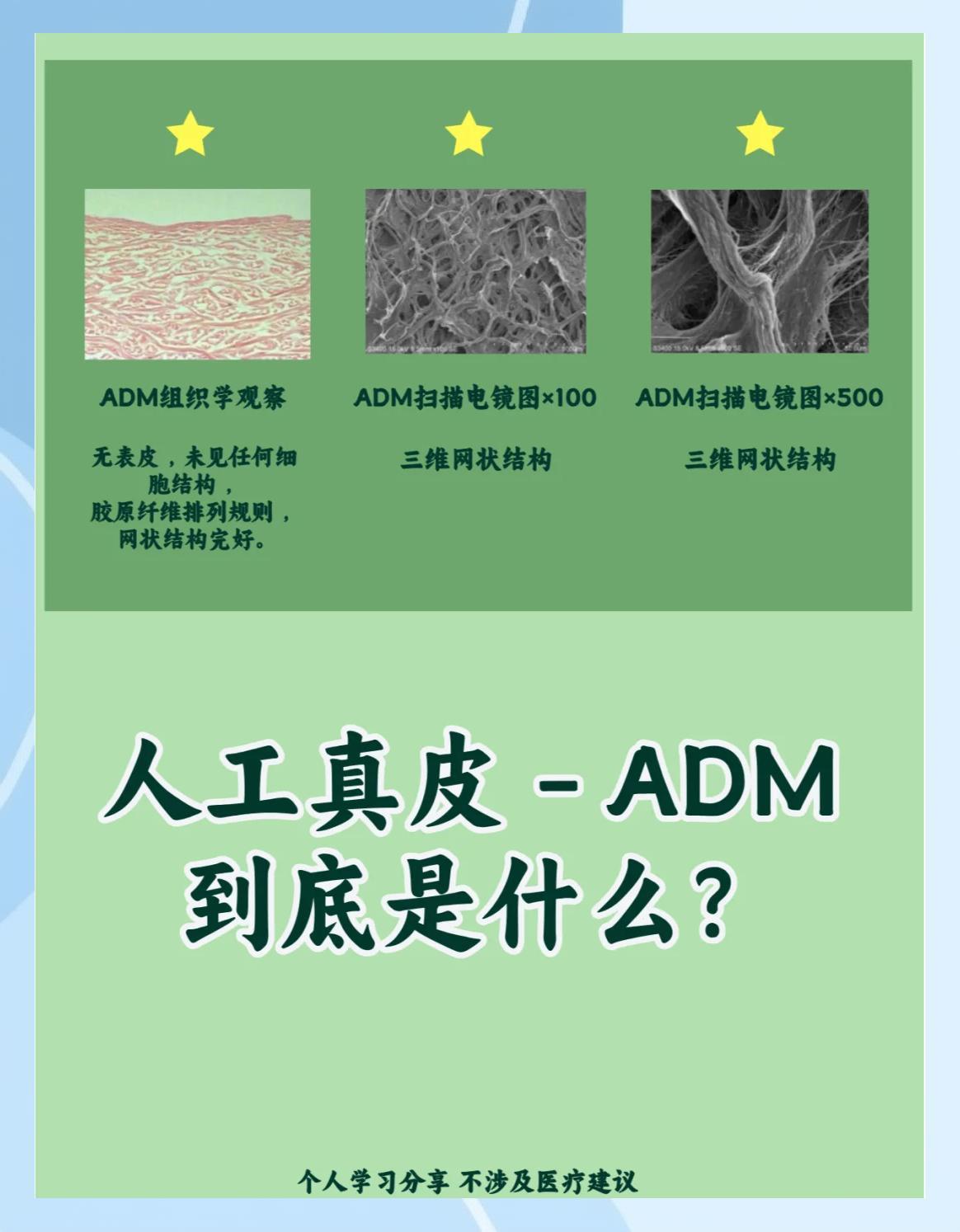 人工真皮是什么？