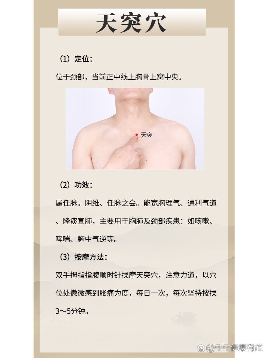 每日一穴位|天突穴
