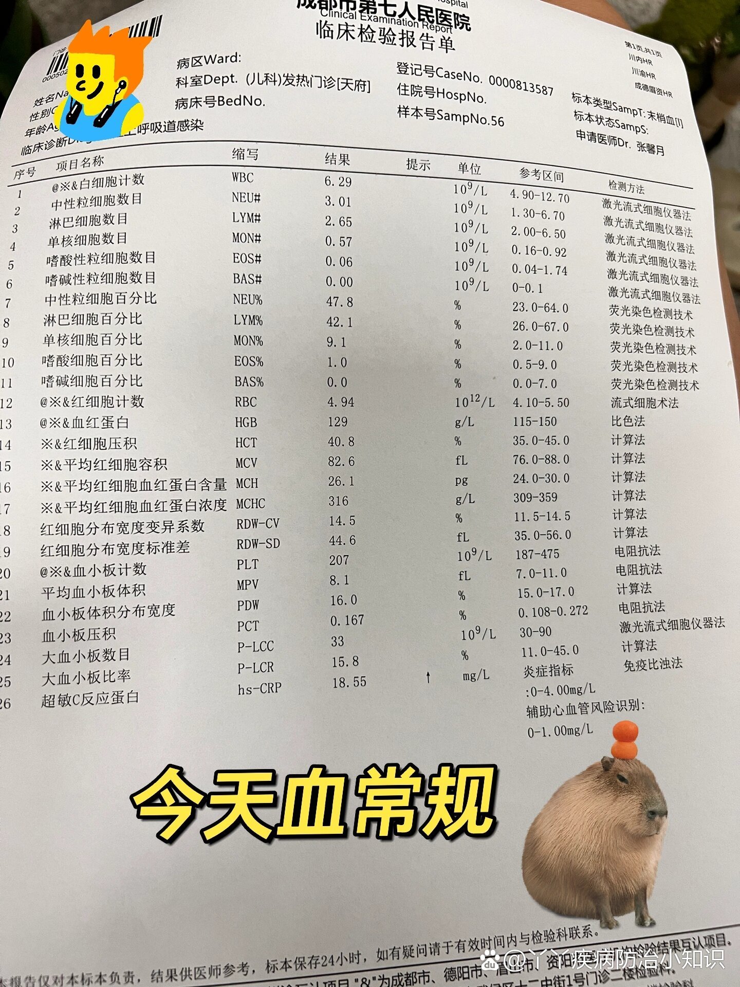 血常规看着挺正常到底是细菌还是病毒啊