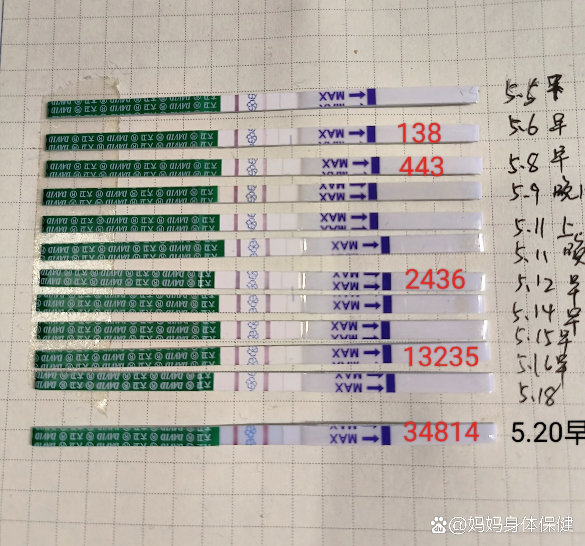 大卫验孕棒 阳性图片